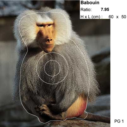 Blasons petit gibier - Ai2M