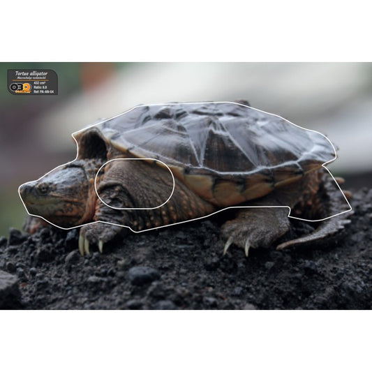 Blason Tortue Alligator - OBO Sticker