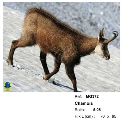 Blasons moyen gibier - Ai2M