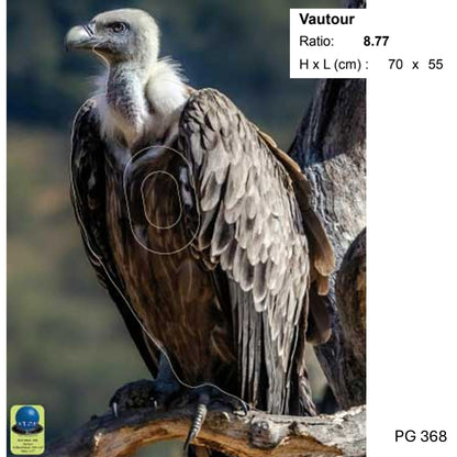 Blasons petit gibier - Ai2M