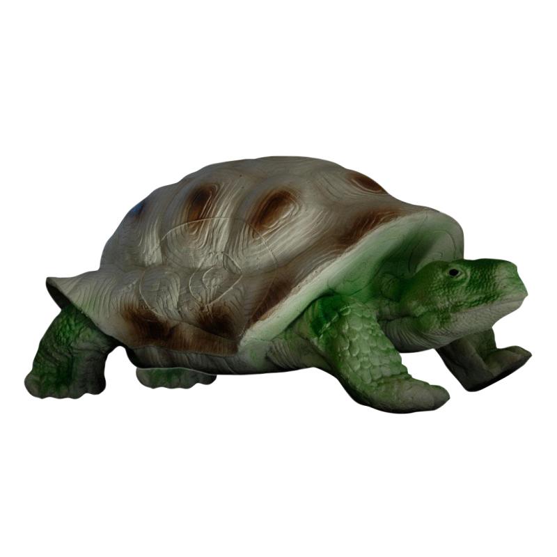 Tortue - Eleven