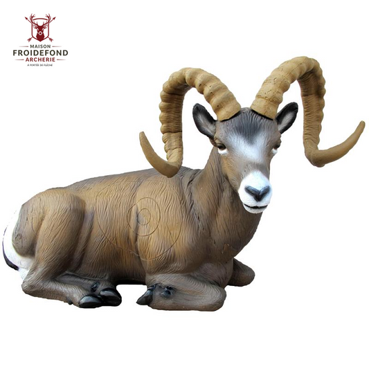 Mouflon des Rocheuses couché Cible 3D - SRT