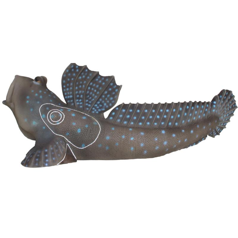Périophtalme (poisson-grenouille) Cible 3D - SRT