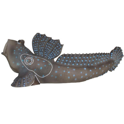 Périophtalme (poisson-grenouille) Cible 3D - SRT