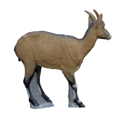 Bouquetin ibérique femelle Cible 3D - SRT