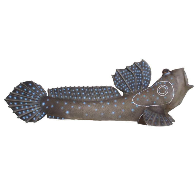 Périophtalme (poisson-grenouille) Cible 3D - SRT