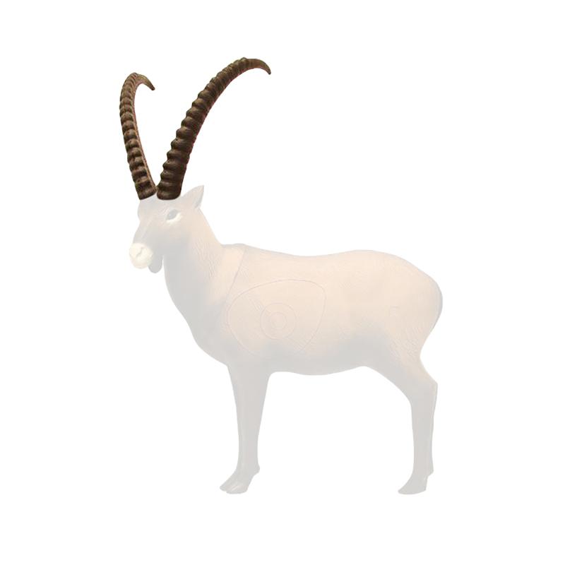 Cornes Bouquetin - SRT