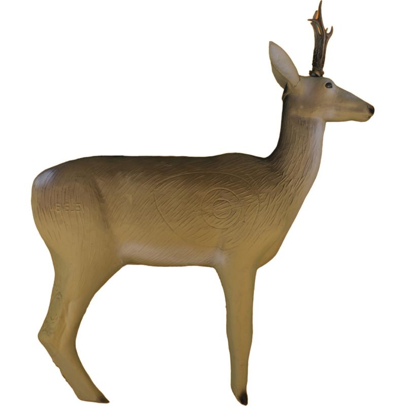 Cerf - Eleven
