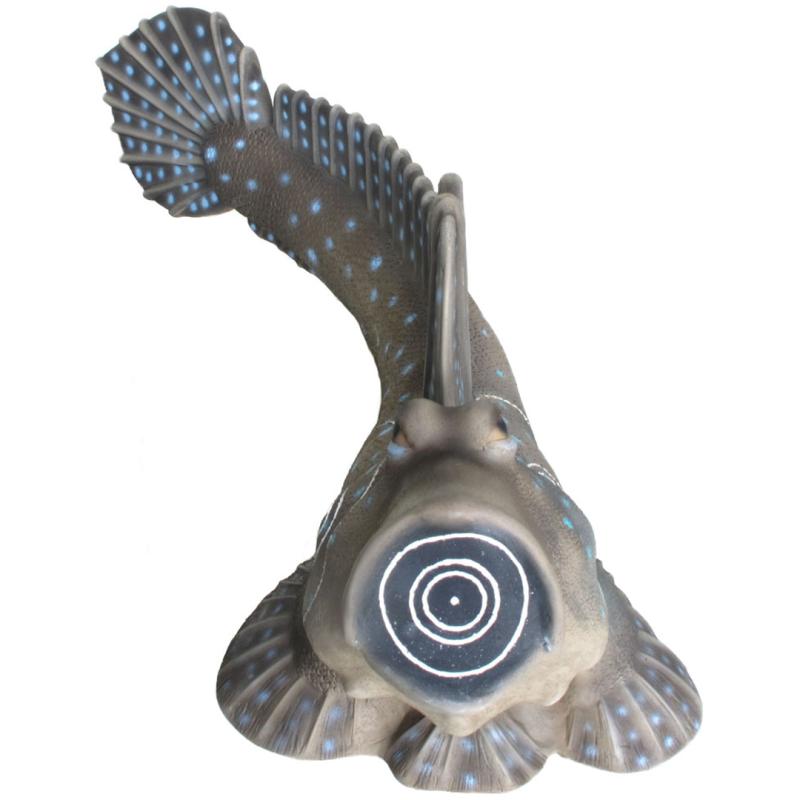 Périophtalme (poisson-grenouille) Cible 3D - SRT
