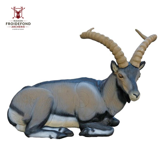 Bouquetin ibérique couché Cible 3D Ibex - SRT