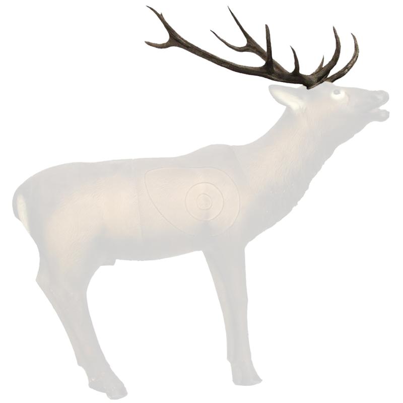 Bois Wapiti - SRT