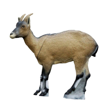 Bouquetin ibérique femelle Cible 3D - SRT