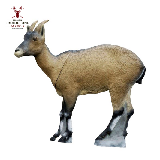 Bouquetin ibérique femelle Cible 3D - SRT
