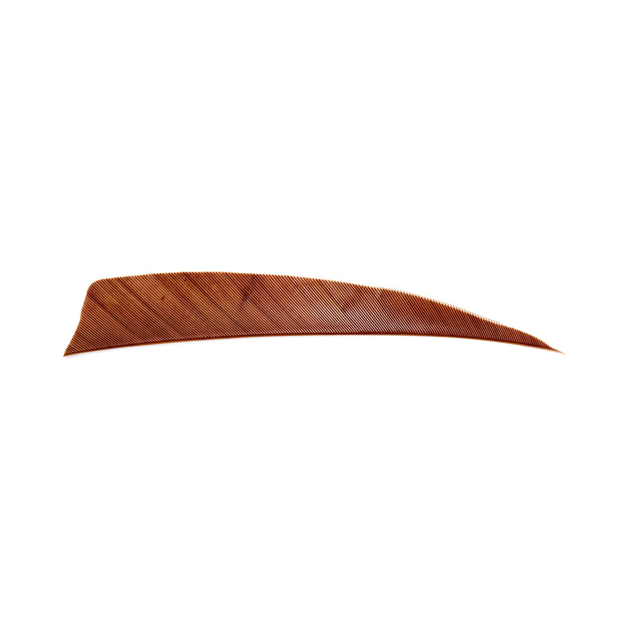 Plume Naturelle Shield 4"