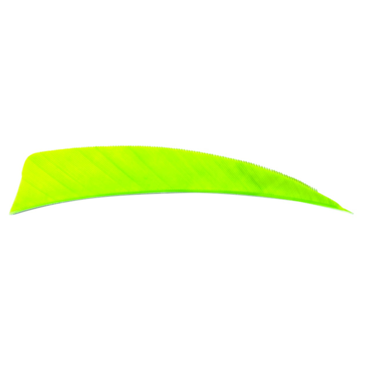 Plume Naturelle Shield 4"