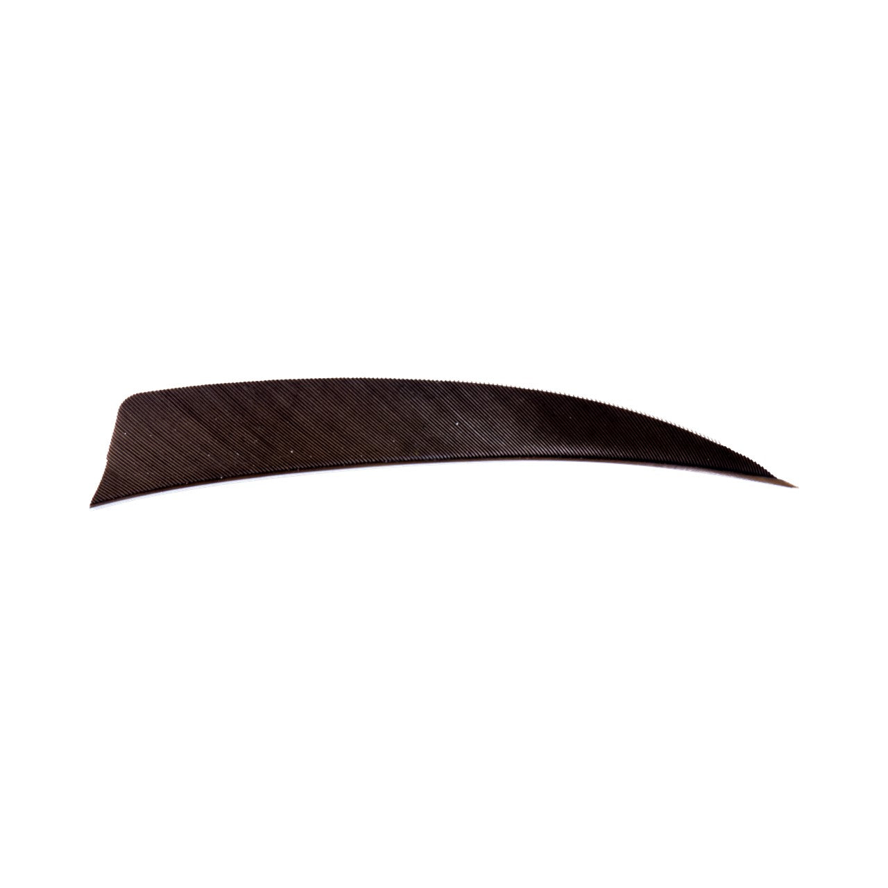 Plume Naturelle Shield 4"