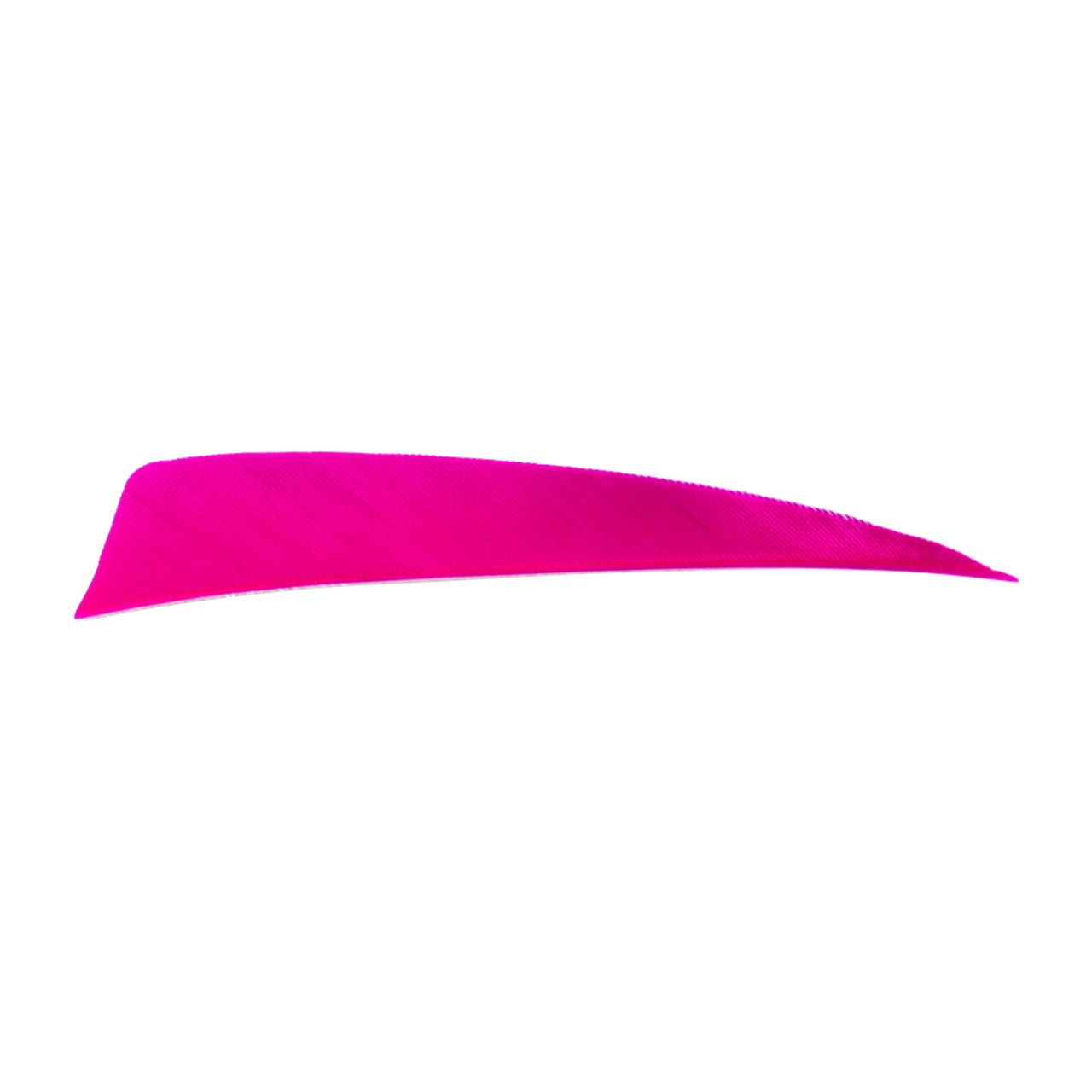 Plume Naturelle Shield 4"