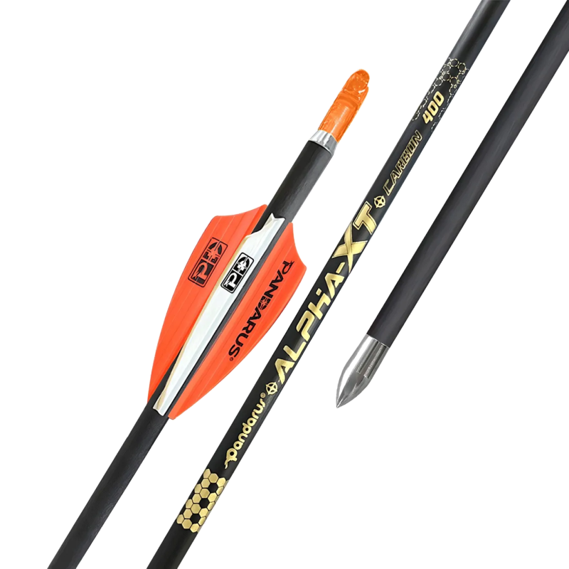 Flèches ALPHA XT x12 - Pandarus