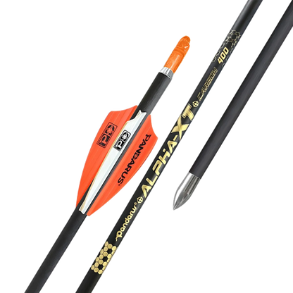 Flèches ALPHA XT x12 - Pandarus