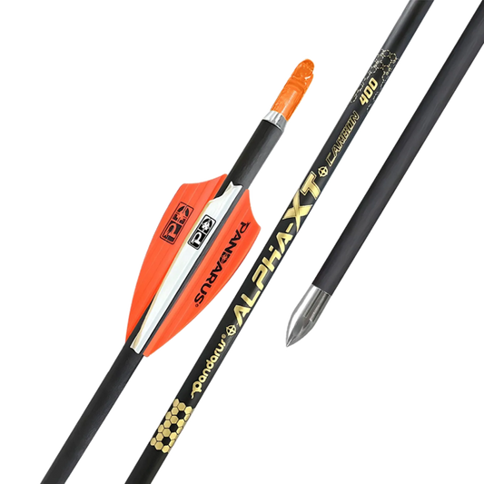 Flèches ALPHA XT x12 - Pandarus