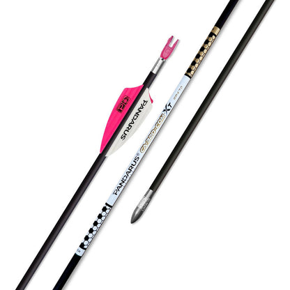 Tube ELITE CA320COMXT x12 - Pandarus