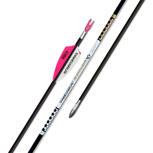 Tube ELITE CA320COMXT x12 - Pandarus