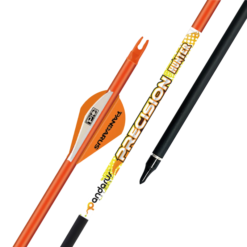 Flèches PRECISION x12 - Pandarus