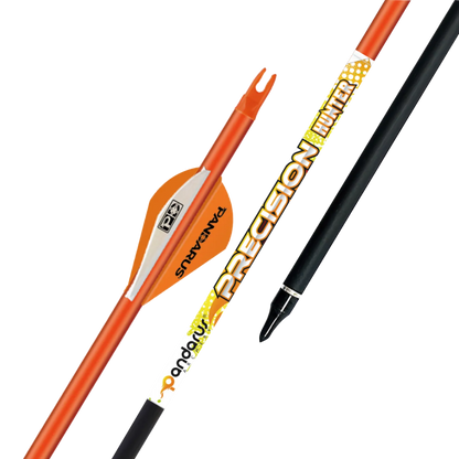 Flèches PRECISION x12 - Pandarus