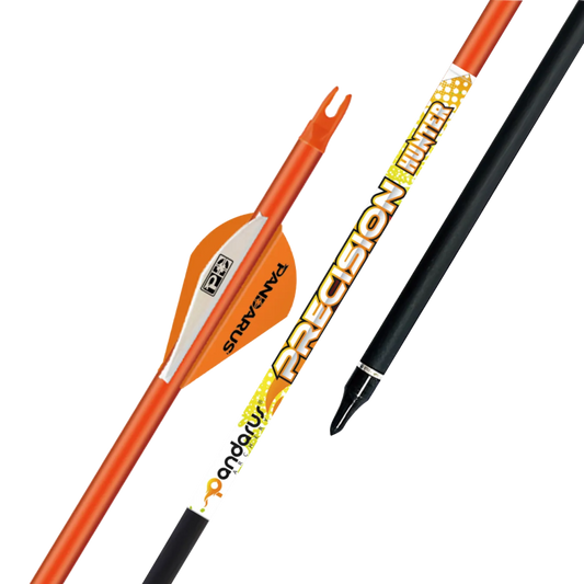 Flèches PRECISION x12 - Pandarus
