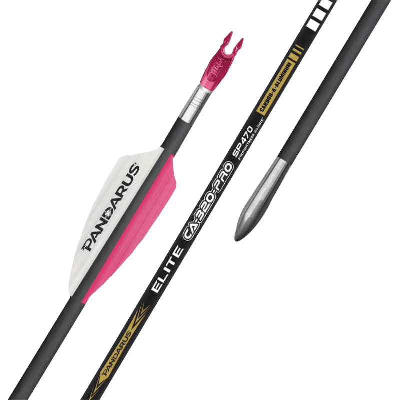 Tube ELITE CA320PRO x12 - Pandarus
