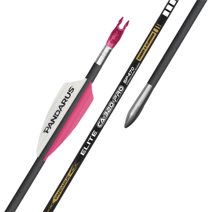Tube ELITE CA320PRO x12 - Pandarus