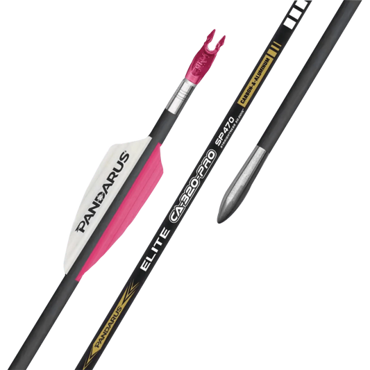 Tube ELITE CA320PRO x12 - Pandarus