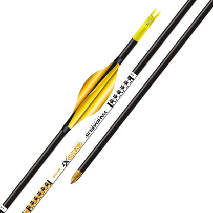 Tube ELITE CA320XT x12 - Pandarus