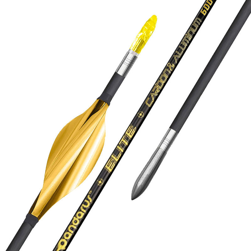 Tube ELITE XT x12 - Pandarus