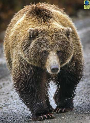 GG 292 Ours