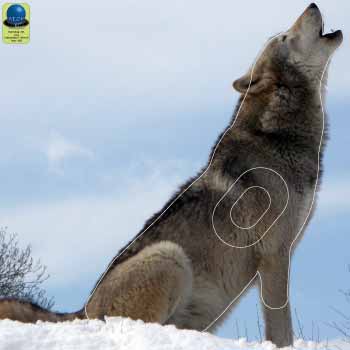 PG 397 Loup