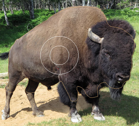 GG 647 Bison