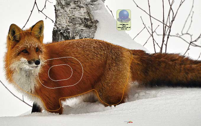 PG 661 Renard
