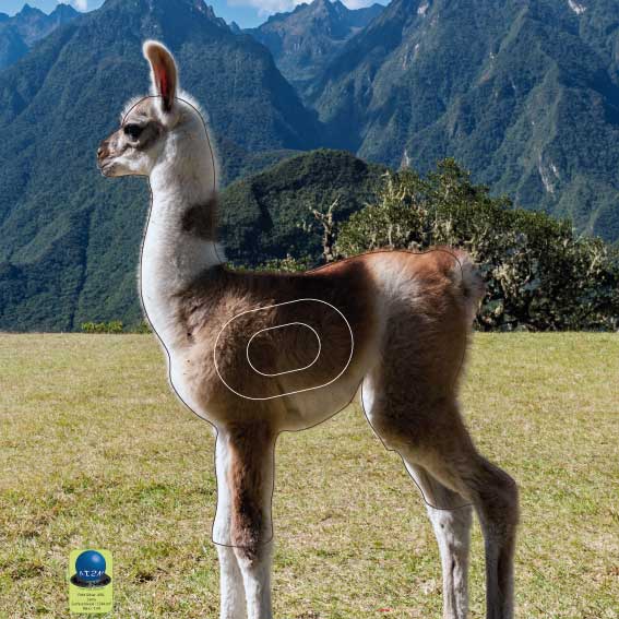PG 480 Lama