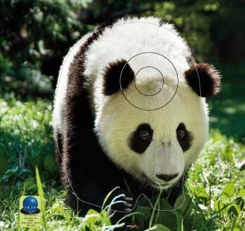 PG 535 Panda