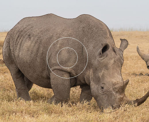 GG 652 Rhinocéros