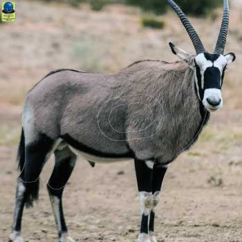 MG 377 Oryx