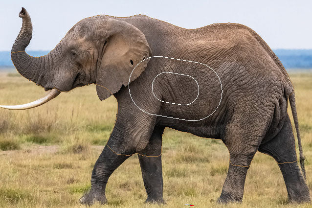 GG 649 Eléphant