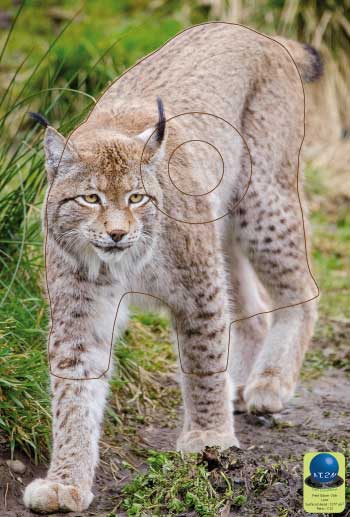 PG 206 Lynx