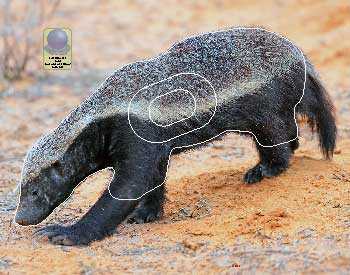 PG 734 Ratel