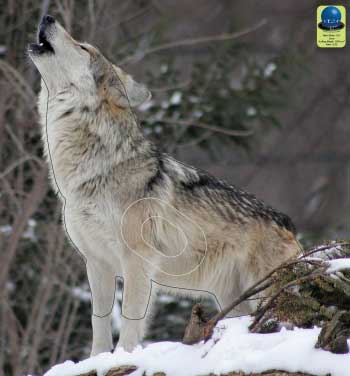PG 187 Loup