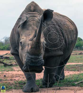GG 326 Rhinocéros