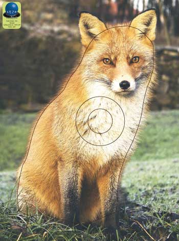PG 190 Renard