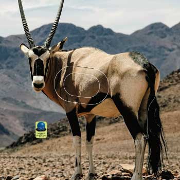 MG 590 Oryx