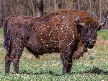 GG 760 Bison